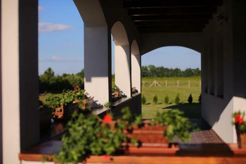 Hostal Csaronda Vendegh�z