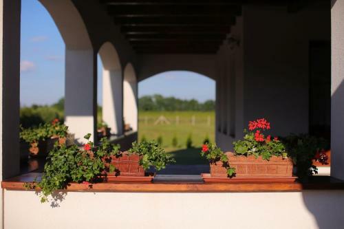 Hostal Csaronda Vendegh�z