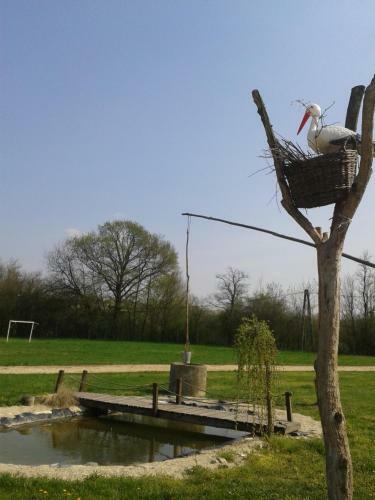 Hostal Sak�ltanya S�r�z?- Boroz� Pihen?h�z