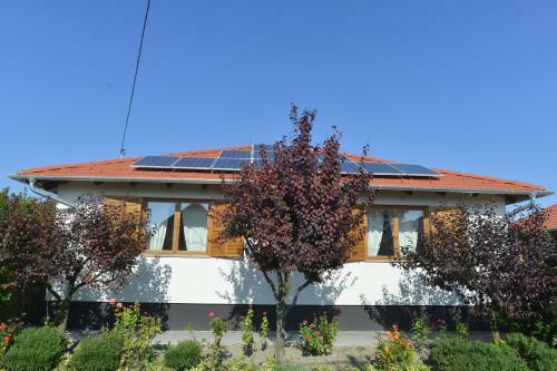 Hostal F�zesi Papa Vend�gh�z