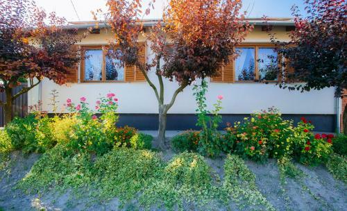 Hostal F�zesi Papa Vend�gh�z