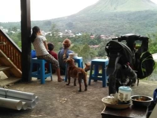 Tomohon Homestay Apelez House