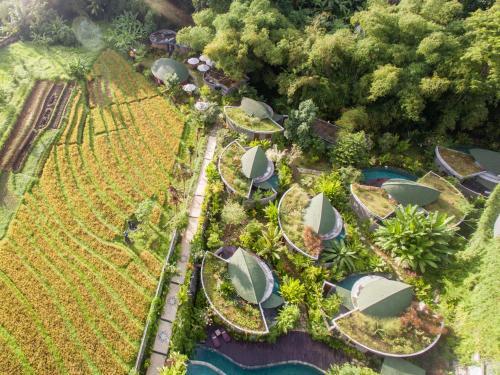 Hotel de Moksha Eco Friendly Boutique Resort