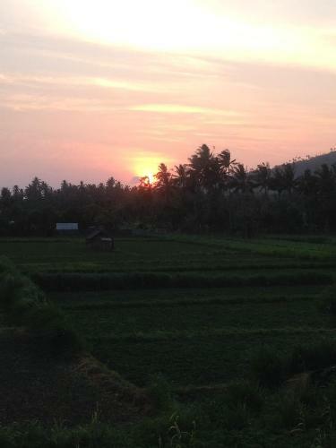 D'sawah Amed Homestay & Warung