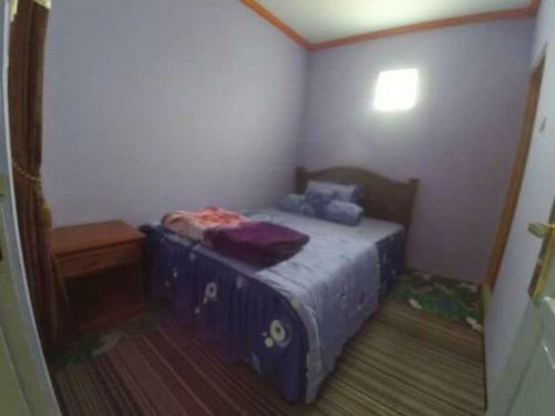 Pachira Homestay