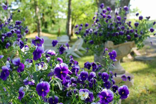 Bed & Breakfast Er�j�rven Eerola Aittahuone (Summer Room)