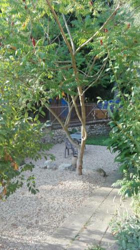 Hotel Les Tamaris