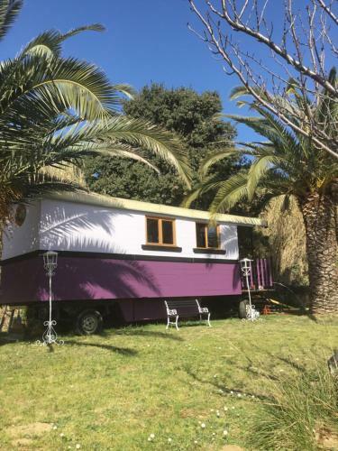 Bed & Breakfast Schwanenvilla