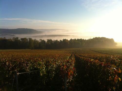 Bed & Breakfast Manoir De Montflambert