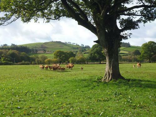 Tynddol Barn, Llandrindod Wells