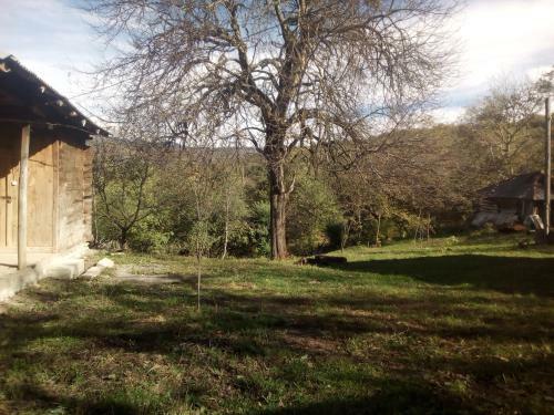Albergue Kinchkha Wood House