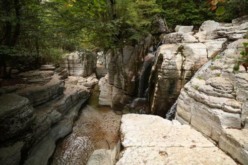 Albergue Kinchkha Wood House