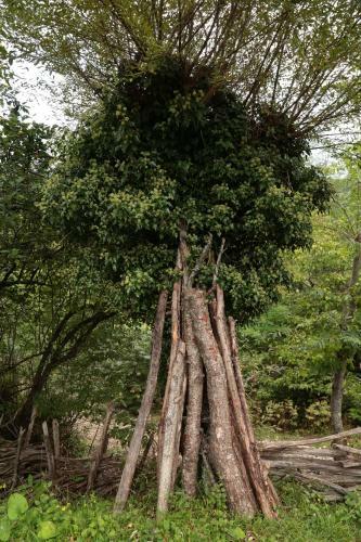 Albergue Kinchkha Wood House