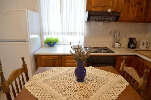 Irini`s House
