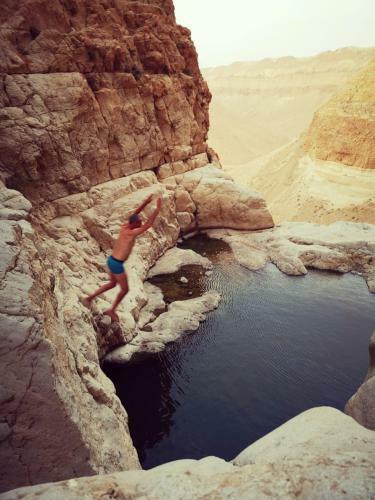 Hostal Dead Sea Desert's Edge