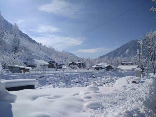 Hotel Island Pahalgam