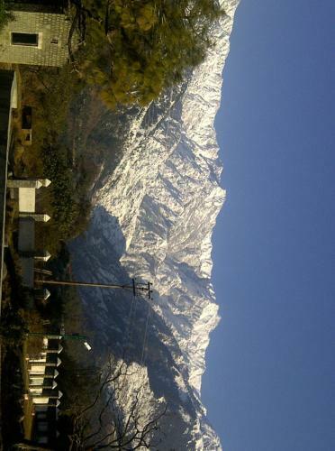 Hotel Centre Point Resorts & Club Palampur