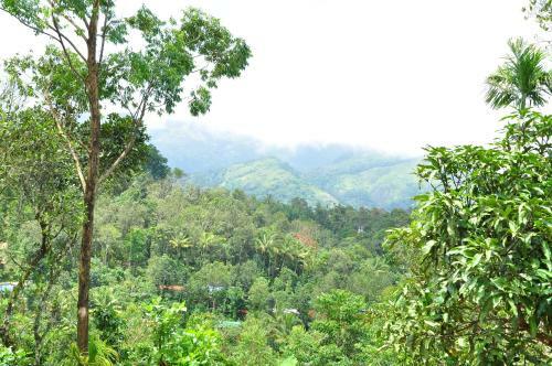 Bed & Breakfast Lizmerrycasa Homestay