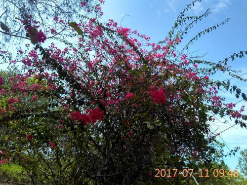 Hostal Purity Guest House