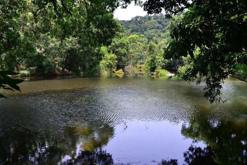 Hotel River Near Coorg