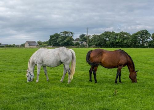 Agroturismo Mill Road Farm Cottages