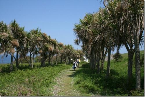 Agroturismo Mill Road Farm Cottages
