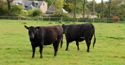 Agroturismo Mill Road Farm Cottages
