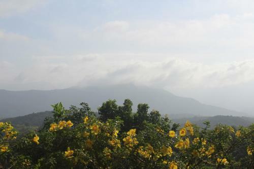 Hotel Bio Veda Ayurvedic Hill Resort