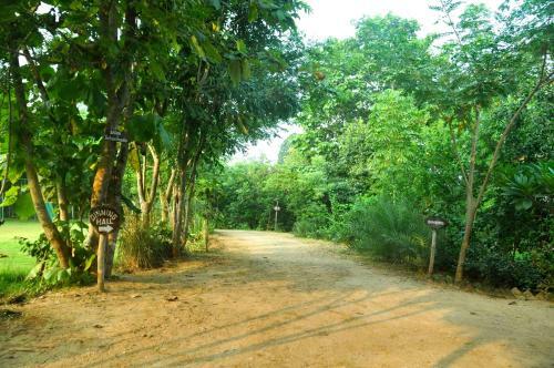 Hotel The Riverwood Forest Retreat Pench