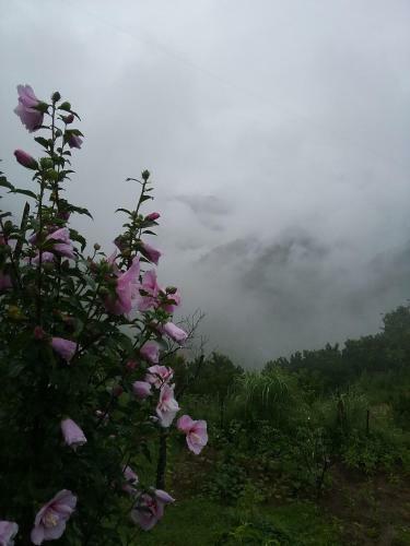 Agroturismo Divine Living Home Stay