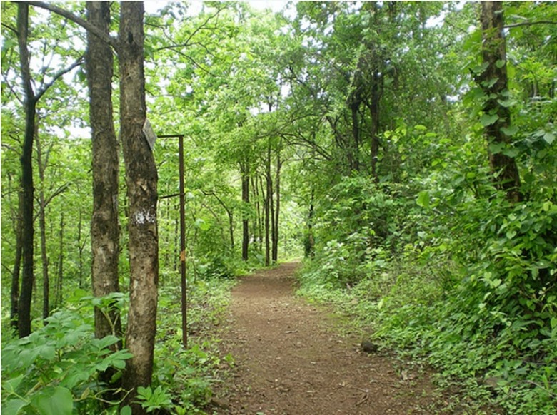 Hotel Durshet Forest Lodge, A Nature Trails Resort