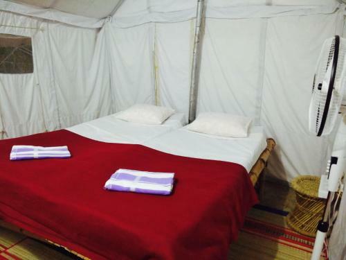 Tutti Hampi Tents & Cafe