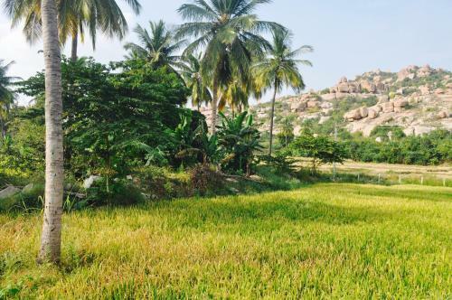 Tutti Hampi Tents & Cafe