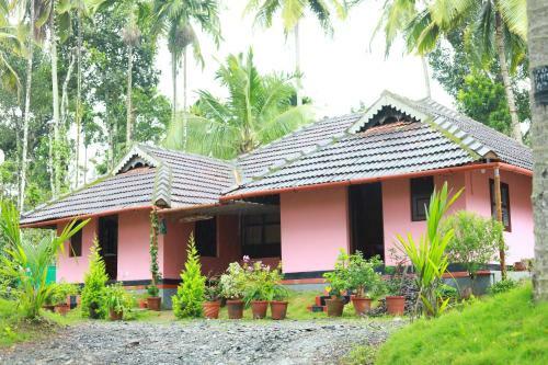 Coffee Island Stay