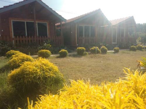 Albergue Trippr Chikkamagaluru