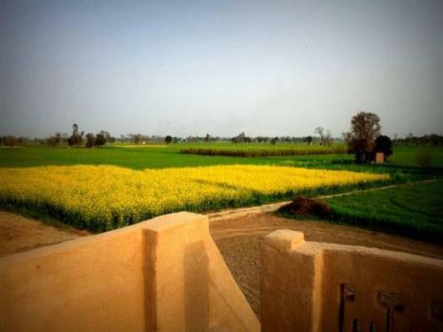 Agroturismo Punjabiyat Near Amritsar