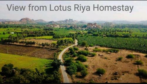 Lotus Riya