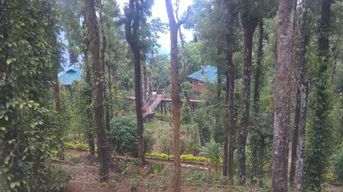 Hotel Kaivalyam Wellness Retreat