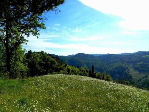 Gorgeous Valley View Apartment In Modigliana