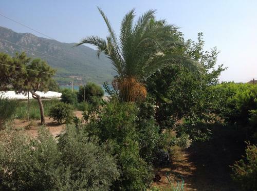 Hostal �z Likya Pension