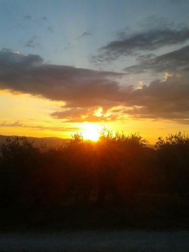 Agroturismo Agriturismo Il Truffarello
