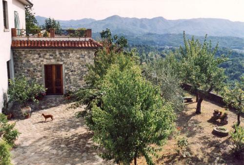 Agroturismo Forni Rosaia