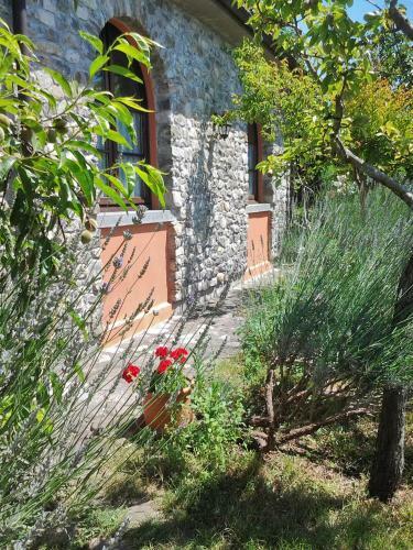 Agroturismo Forni Rosaia