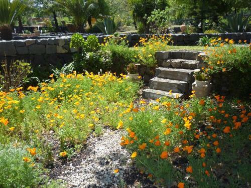 Bed & Breakfast Casa Gallida