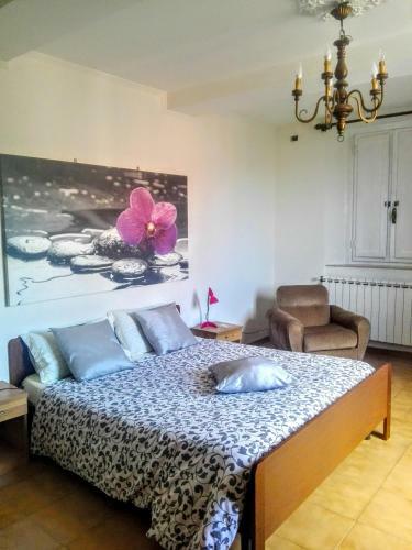 Apartamento Lucca Rooms