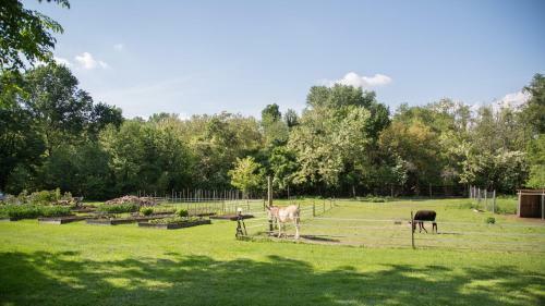 Agroturismo La Collina Delle Mignole