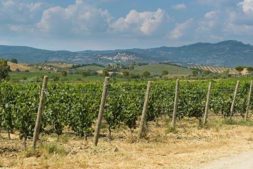 Agroturismo Tenuta Rocca Di Montemassi