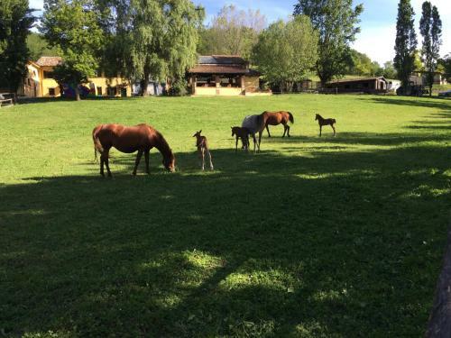Bed & Breakfast Villa Hortensia Maison D'h�tes