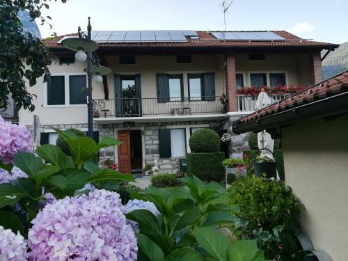B&B Oltra