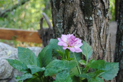 Agroturismo Agriturismo Casa Gioffr�